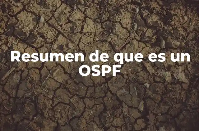 Resumen de que es un Ospf
