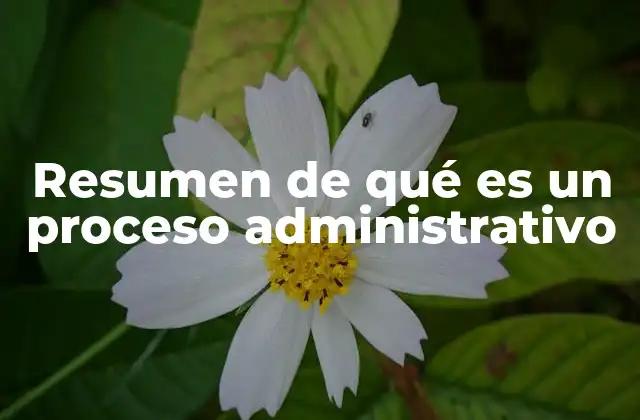 Resumen de Qué es un Proceso Administrativo