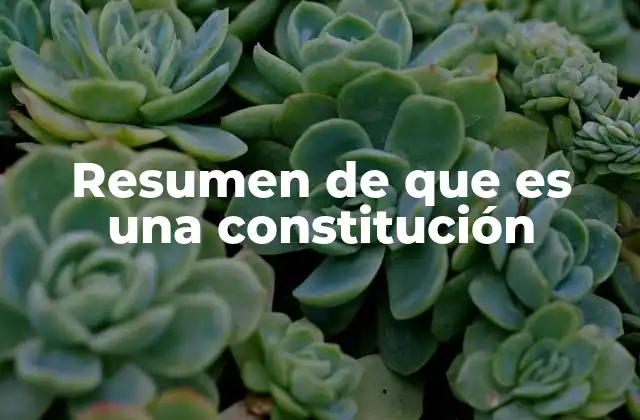 La importancia de tener una constitución sólida