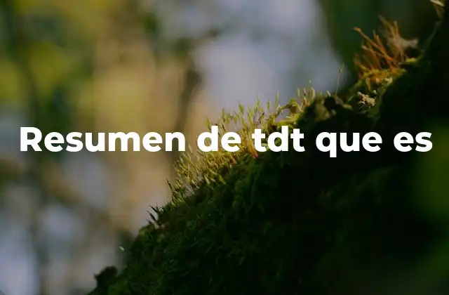 Resumen de Tdt que es