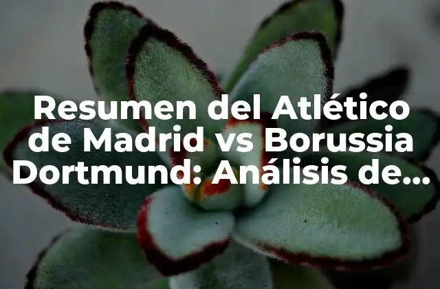 Resumen Del Atlético de Madrid Vs Borussia Dortmund: Análisis de los Encuentros entre Dos Gigantes