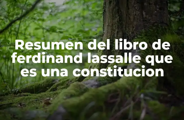 La importancia de las constituciones desde una perspectiva histórica y social
