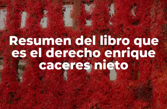 Resumen Del Libro que es el Derecho Enrique Caceres Nieto