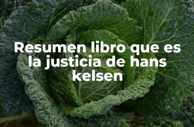 Resumen Libro que es la Justicia de Hans Kelsen 2 La relación entre derecho, justicia y moral en la obra de Kelsen