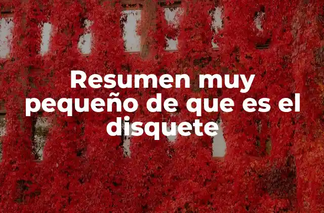 Resumen Muy Pequeño de que es el Disquete