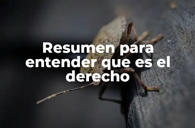 La importancia del derecho en la sociedad moderna