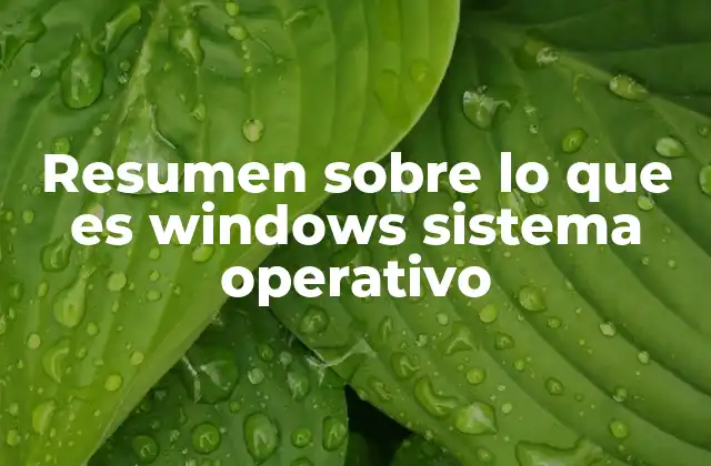 Resumen sobre Lo que es Windows Sistema Operativo