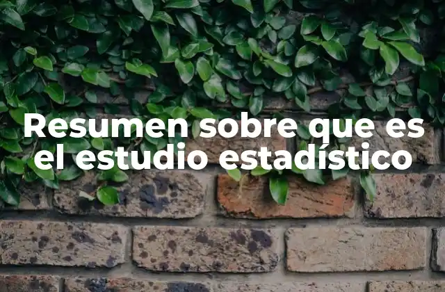 Resumen sobre que es el Estudio Estadístico