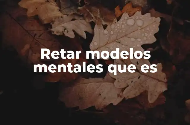 Retar Modelos Mentales que es 2 El poder de la introspección para transformar la forma de pensar