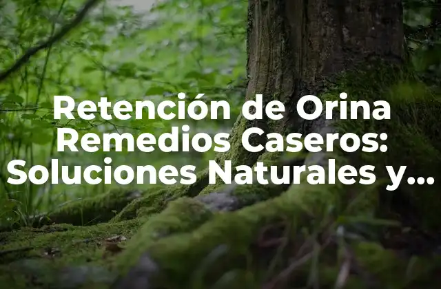 Retención de Orina Remedios Caseros: Soluciones Naturales y Efectivas