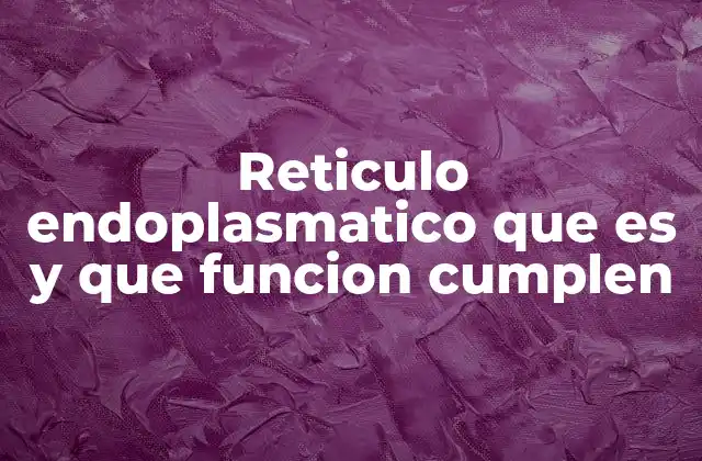 Reticulo Endoplasmatico que es y que Funcion Cumplen