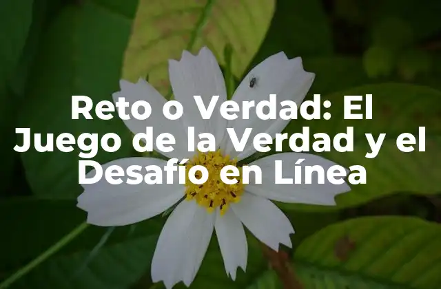 Reto o Verdad: el Juego de la Verdad y el Desafío en Línea