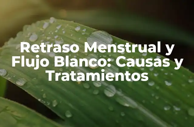 Retraso Menstrual y Flujo Blanco: Causas y Tratamientos