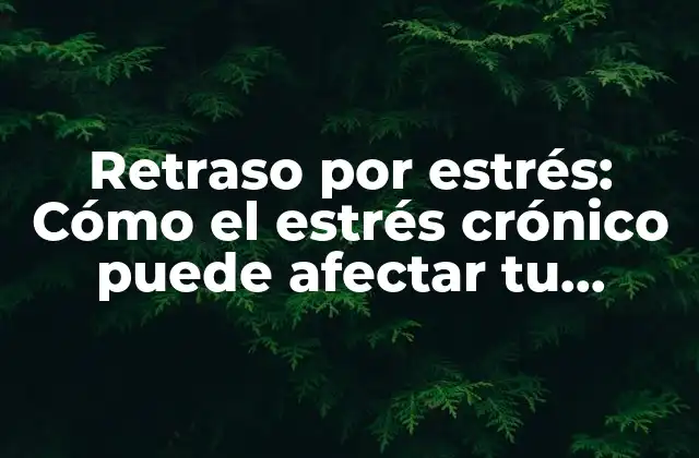 Retraso por Estrés: Cómo el Estrés Crónico Puede Afectar Tu Productividad