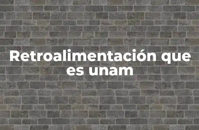 La importancia de la retroalimentación en la educación universitaria