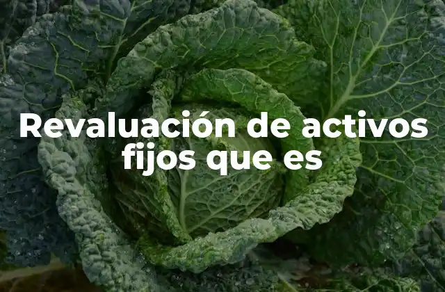 Revaluación de Activos Fijos que es