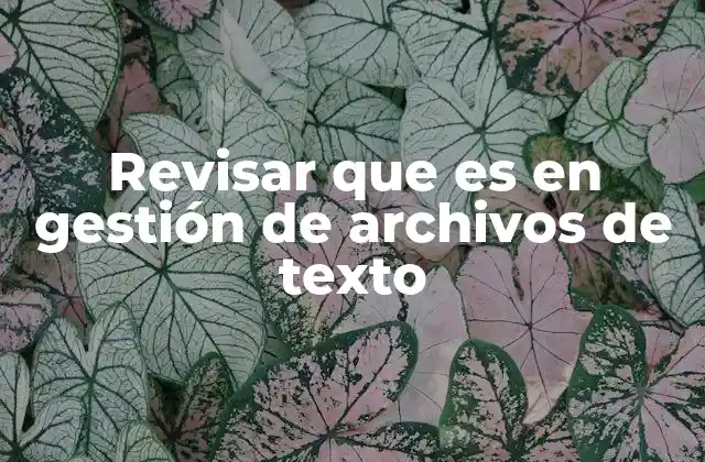 Revisar que es en Gestión de Archivos de Texto
