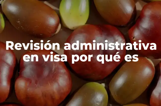Revisión Administrativa en Visa por Qué es