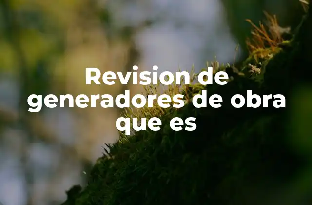 Revision de Generadores de Obra que es