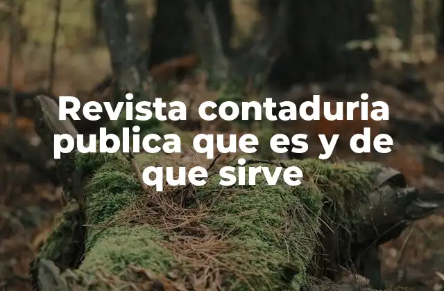 Revista Contaduria Publica que es y de que Sirve