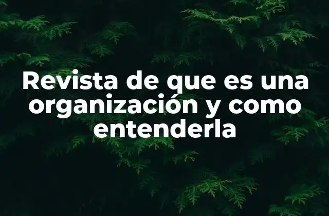 La importancia de comprender el entorno organizacional