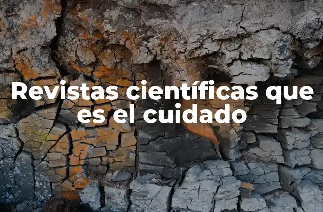 Revistas Científicas que es el Cuidado