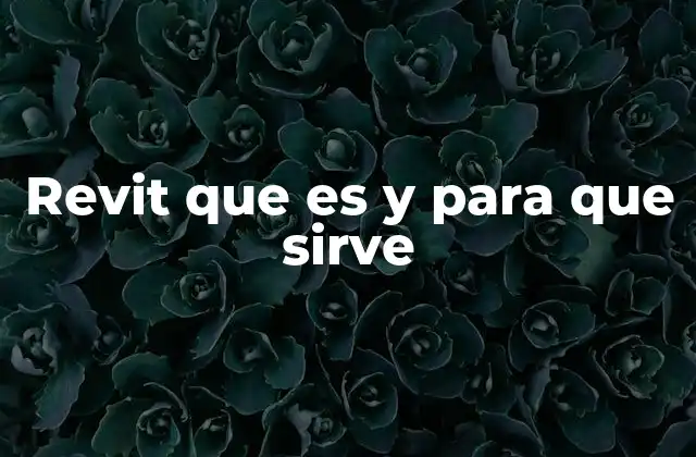 Revit que es y para que Sirve