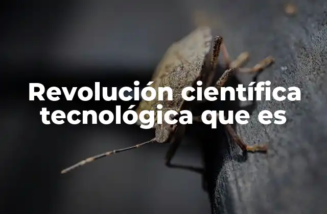Revolución Científica Tecnológica que es