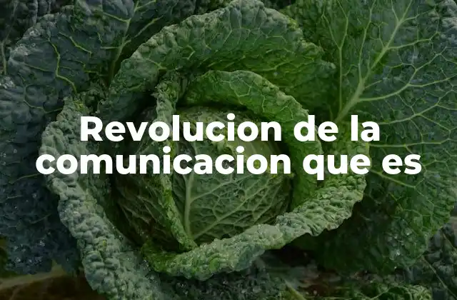 Revolucion de la Comunicacion que es