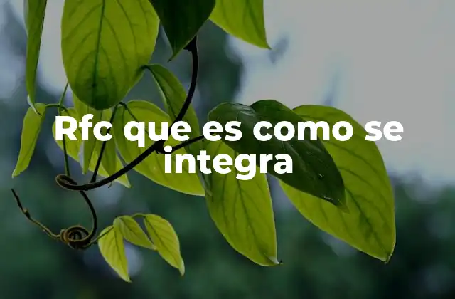 La importancia del RFC en el sistema fiscal mexicano