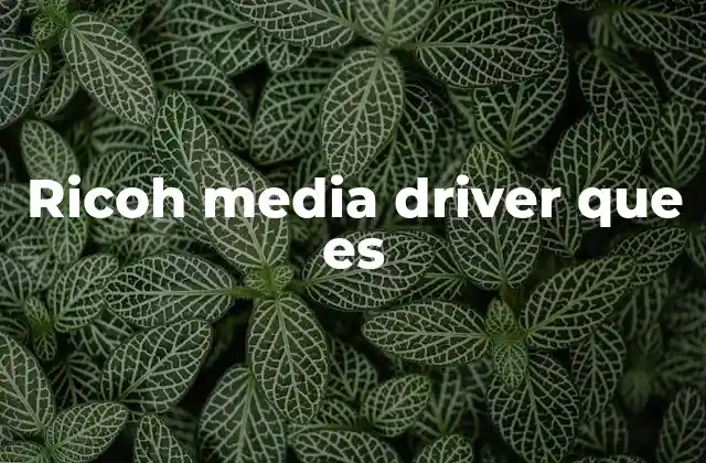 Ricoh Media Driver que es