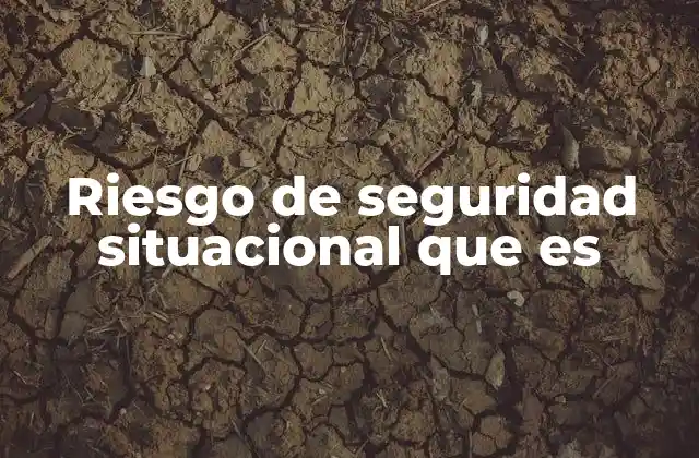 Riesgo de Seguridad Situacional que es