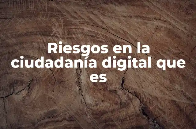 Riesgos en la Ciudadanía Digital que es 2 La vida en línea y sus desafíos