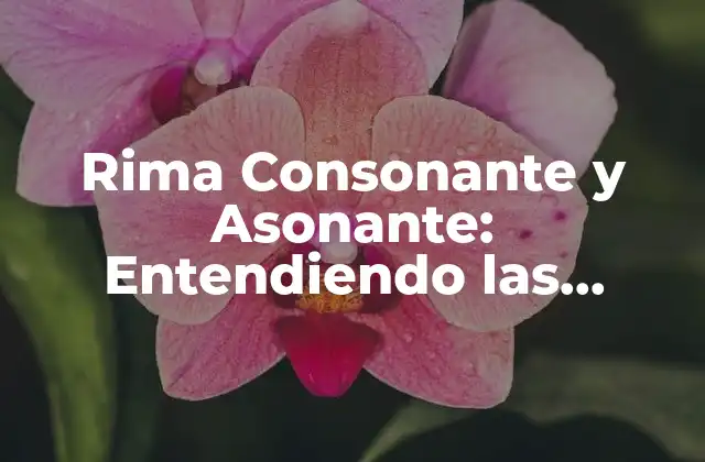 Rima Consonante y Asonante: Entendiendo las Diferencias