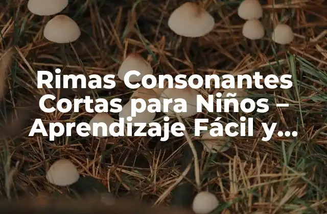 Rimas Consonantes Cortas para Niños – Aprendizaje Fácil y Divertido