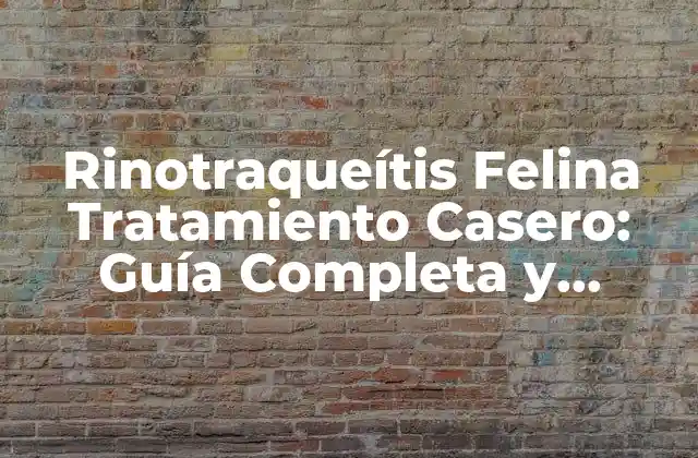 Rinotraqueítis Felina Tratamiento Casero: Guía Completa y Natural