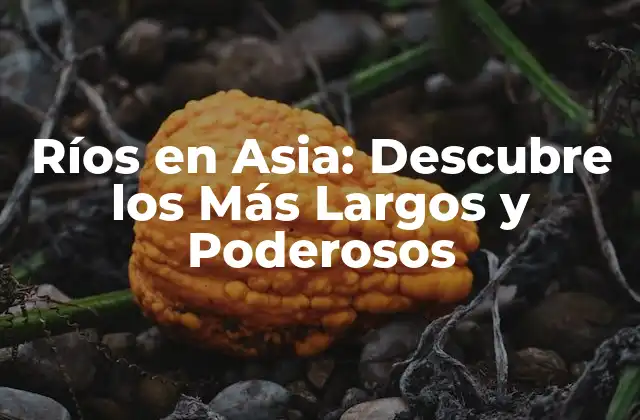 Ríos en Asia: Descubre los Más Largos y Poderosos 2 Los 5 Ríos Más Largos de Asia