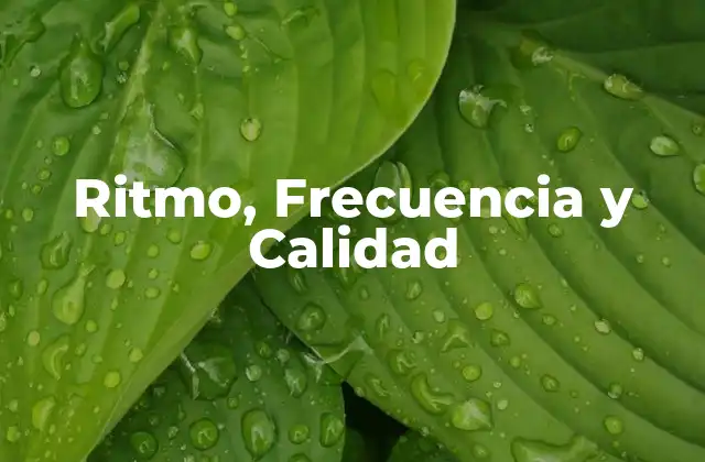 Ritmo, Frecuencia y Calidad