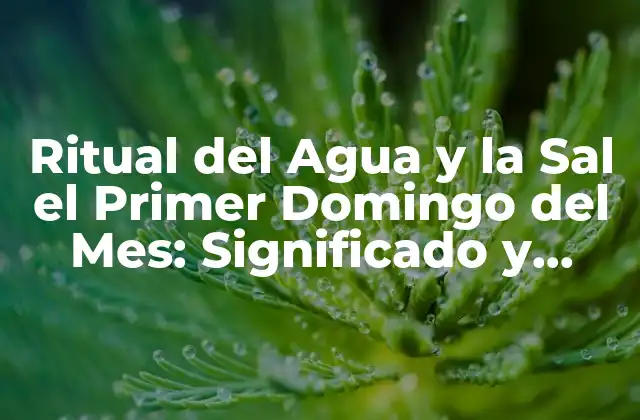 Ritual Del Agua y la Sal el Primer Domingo Del Mes: Significado y Beneficios