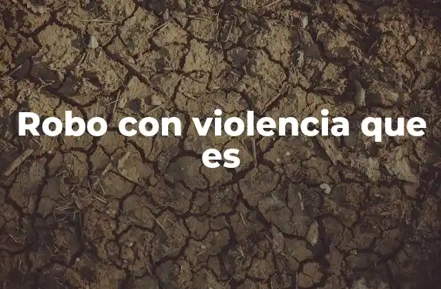 Robo con Violencia que es