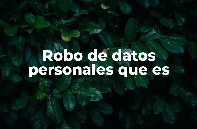 Robo de Datos Personales que es