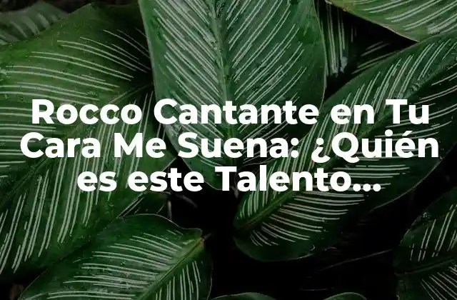 Rocco Cantante en Tu Cara Me Suena: ¿quién es Este Talento Italiano?