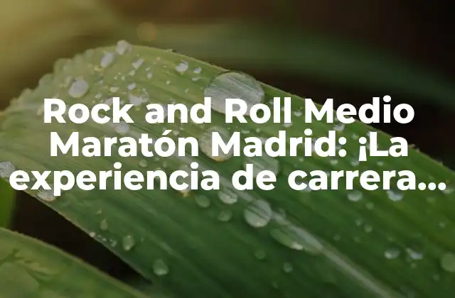 Rock And Roll Medio Maratón Madrid: ¡la Experiencia de Carrera Más Emocionante de Tu Vida!