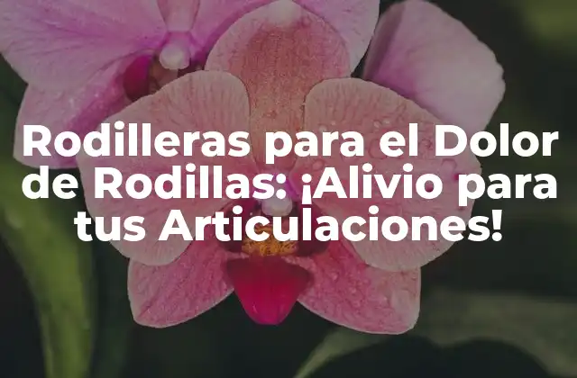 Rodilleras para el Dolor de Rodillas: ¡alivio para Tus Articulaciones!