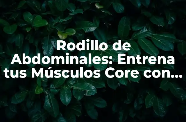 Rodillo de Abdominales: Entrena Tus Músculos Core con Efectividad