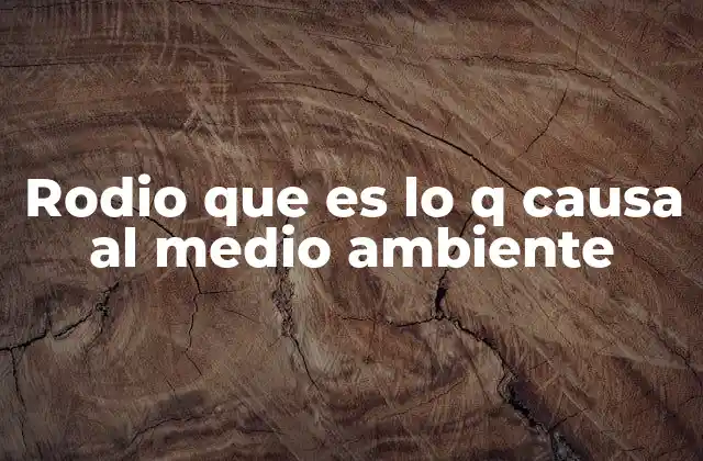 Impactos ambientales asociados a la extracción de metales raros