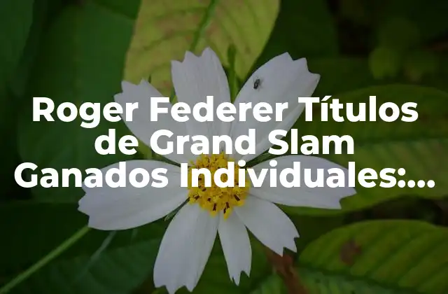 Roger Federer Títulos de Grand Slam Ganados Individuales: un Repaso a Su Carrera Épica