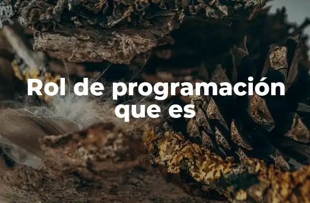 Rol de Programación que es