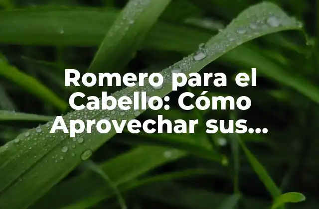 Romero para el Cabello: Cómo Aprovechar Sus Beneficios 2 ¿Cuáles son los Beneficios del Romero para el Cabello?