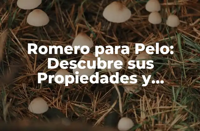 Romero para Pelo: Descubre Sus Propiedades y Beneficios